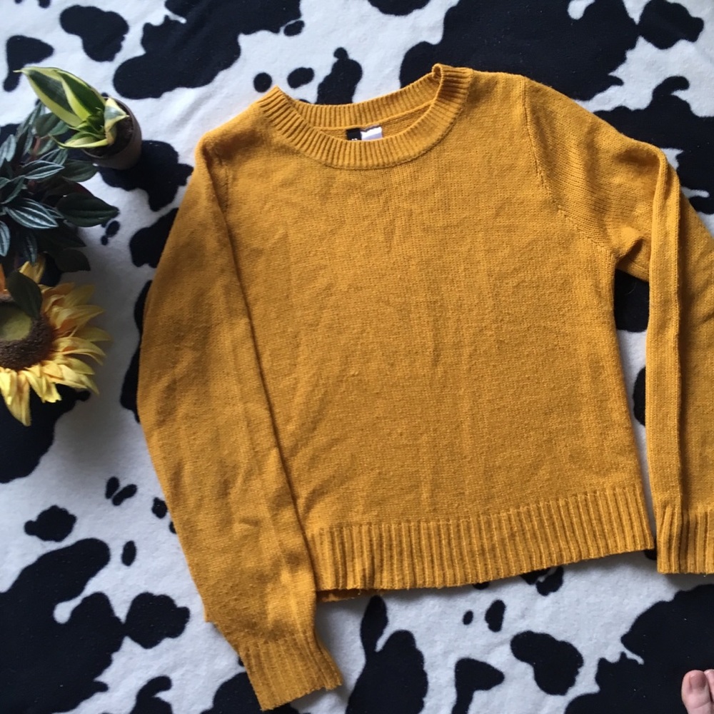Mustard Yellow Knit Sweater